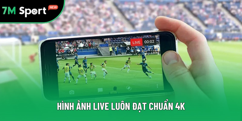 Mọi hình ảnh đều đạt chất lượng 4K