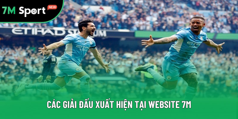 Những giải đấu thường xuất hiện tại 7M