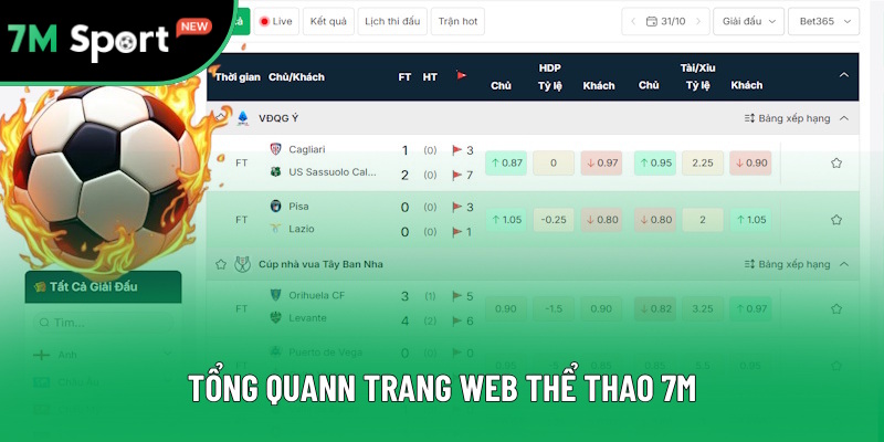 Nội dung tổng quan về trang 7M Sport