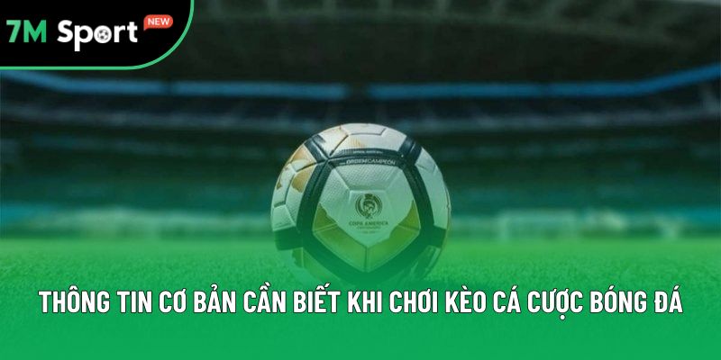 Thông tin cơ bản cần biết khi chơi kèo cá cược bóng đá
