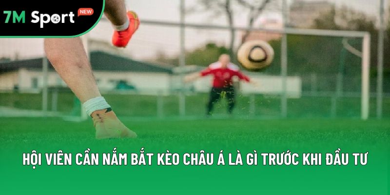 Hội viên cần nắm bắt kèo châu Á là gì trước khi đầu tư Hội viên cần nắm bắt kèo châu Á là gì trước khi đầu tư