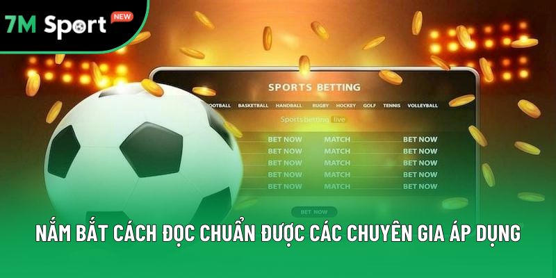 Nắm bắt cách đọc chuẩn được các chuyên gia áp dụng Nắm bắt cách đọc chuẩn được các chuyên gia áp dụng