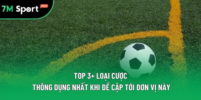 Top 3+ loại cược thông dụng nhất khi đề cập tới đơn vị này