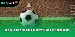 Kèo Tài Xỉu Là Gì? Hiểu Rõ Từ A Tới Z Để Clear Kèo Nhanh Gọn