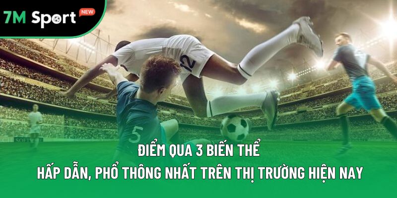 Điểm qua 3 biến thể hấp dẫn, phổ thông nhất trên thị trường hiện nay Điểm qua 3 biến thể hấp dẫn, phổ thông nhất trên thị trường hiện nay