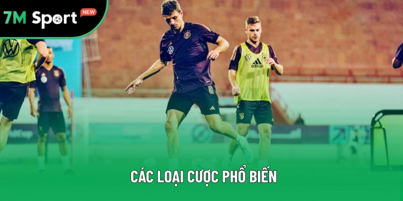 Các dạng cược phổ biến nhất