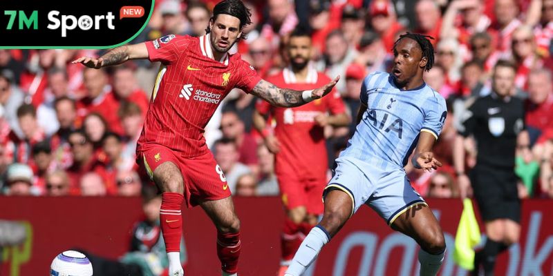 Nhận định Tottenham vs Liverpool chi tiết Nhận định Tottenham vs Liverpool chi tiết
